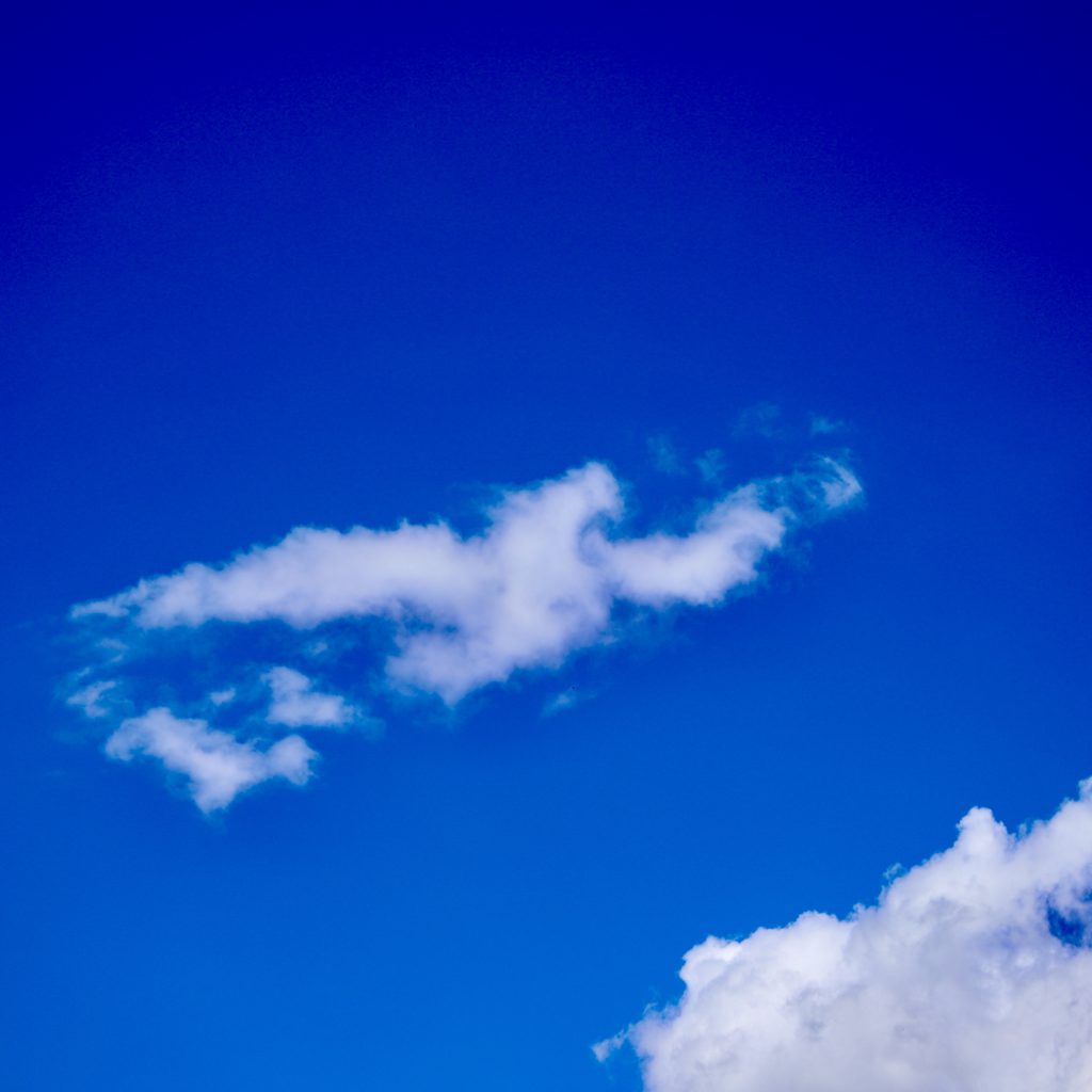 Wolke, die an eine Taube erinnert