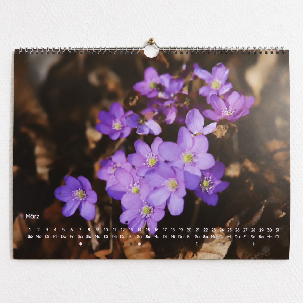 Kalender