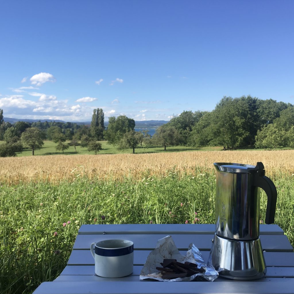Picnic