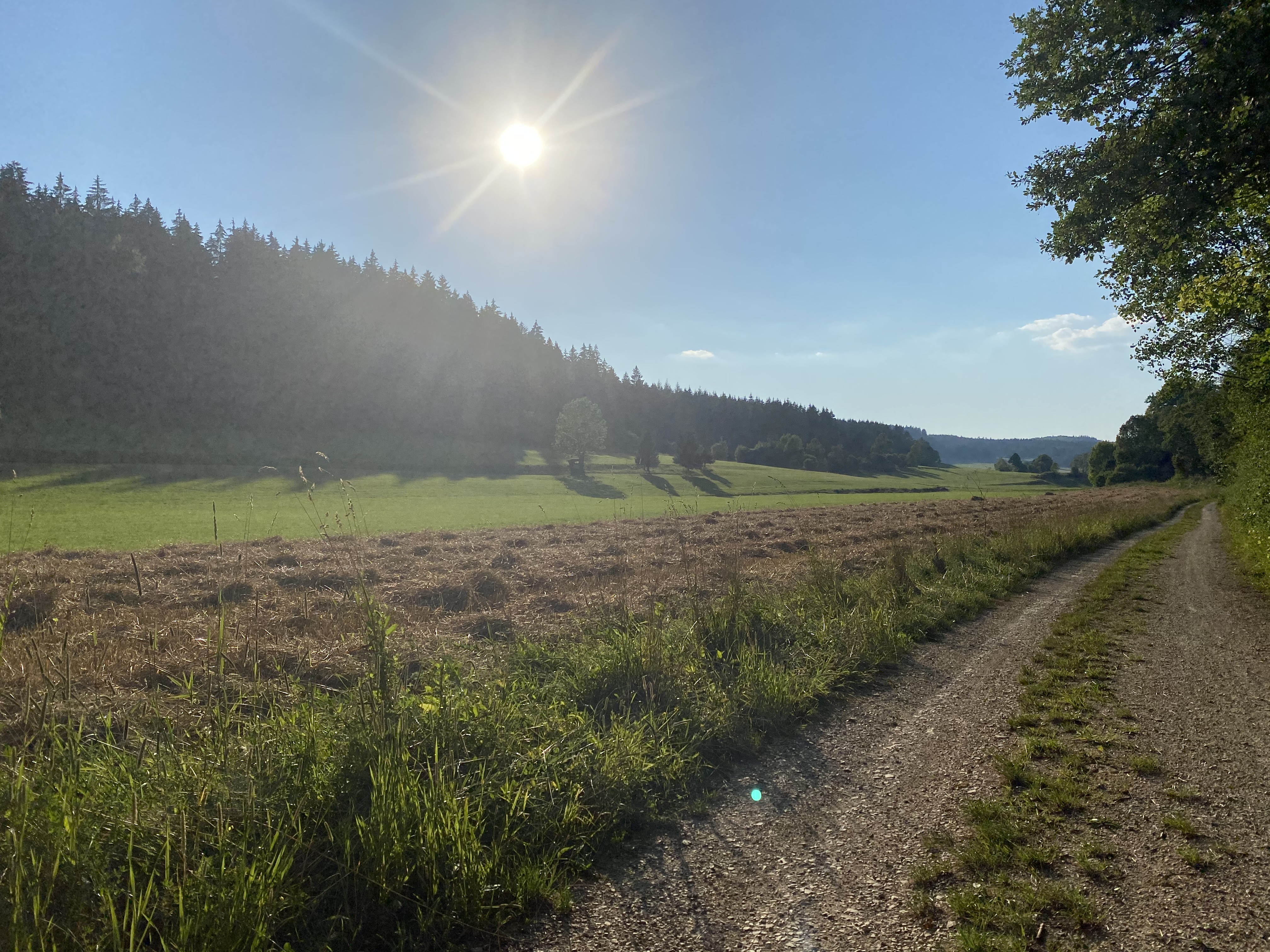 Weg durch die Landschaft der Oberen Donau